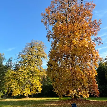 Le Chateau D'elbeuf-en-bray Bed & Breakfast 4*